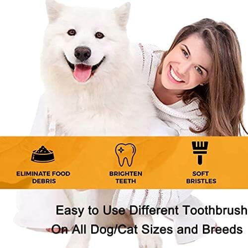 10 Pack Pet Dog Toothbrush Toothbrush Pet Clever