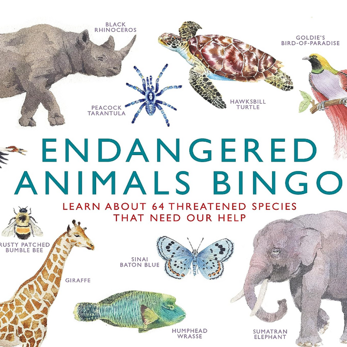 Endangered Animals Bingo