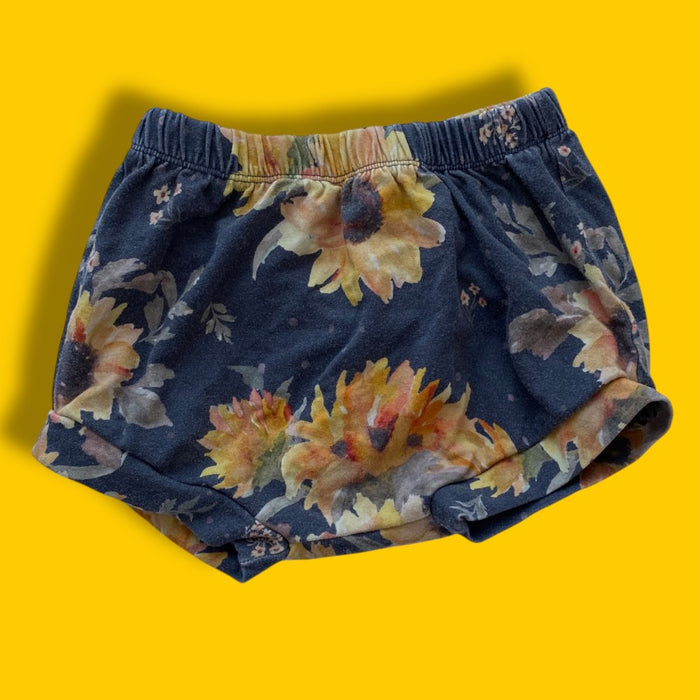 Small Shop Shorts 12-18m