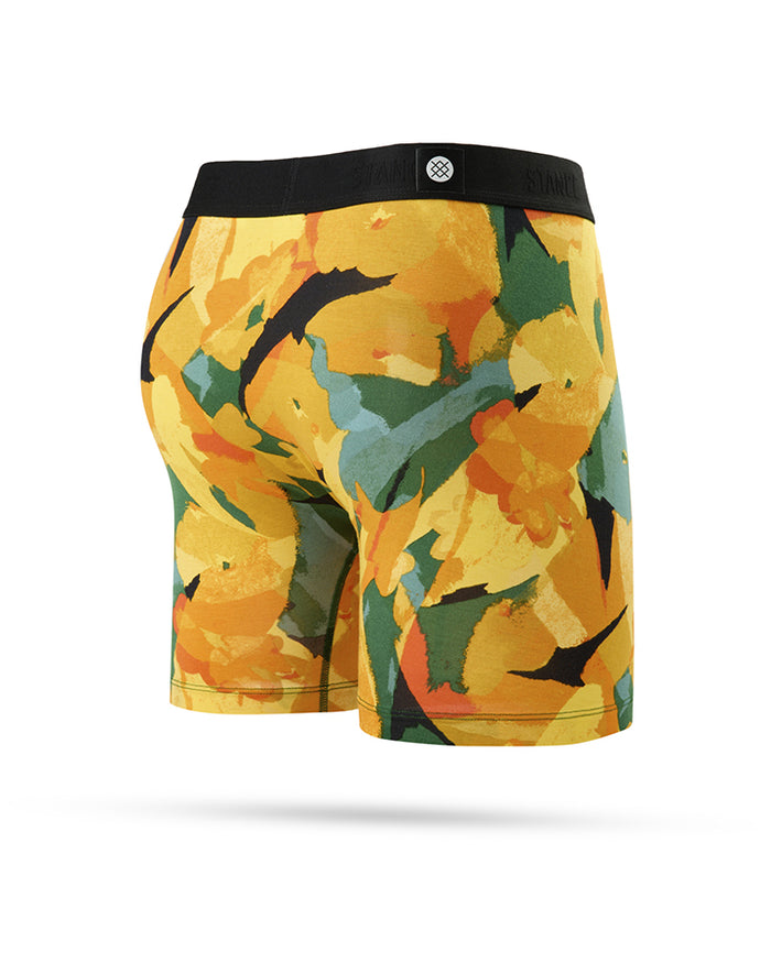 STANCE KEYS BOXER BRIEF WHOLESTER