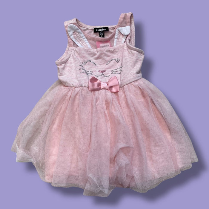 zunie dress 2y