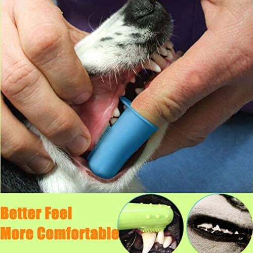 10 Pack Pet Dog Toothbrush Toothbrush Pet Clever