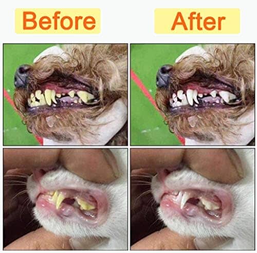 10 Pack Pet Dog Toothbrush Toothbrush Pet Clever