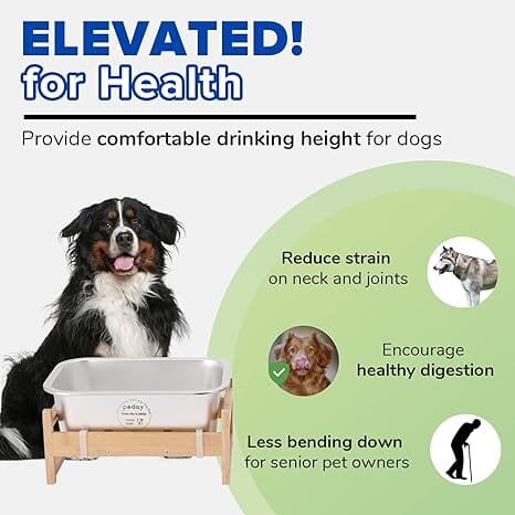 1.2 Gallon Raised Dog Water Bowl, Human Grade 18/8 Stainless Steel Dog Bowls & Feeders Pet Clever