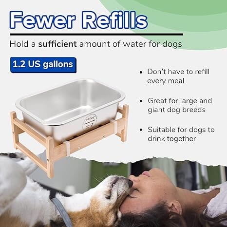 1.2 Gallon Raised Dog Water Bowl, Human Grade 18/8 Stainless Steel Dog Bowls & Feeders Pet Clever