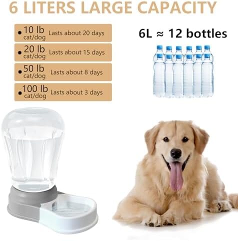 1.58 Gallon Automatic Dog Water Bowl Dispenser Dog Bowls & Feeders Pet Clever
