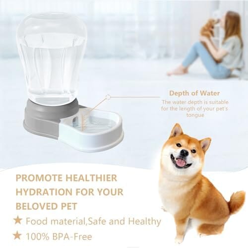 1.58 Gallon Automatic Dog Water Bowl Dispenser Dog Bowls & Feeders Pet Clever