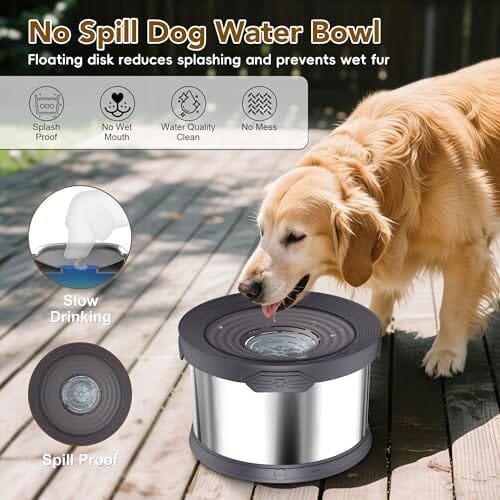 2.6 Gallon/10L Large Capacity Spill-Proof Dog Bowls Dog Bowls & Feeders Pet Clever