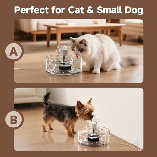 2.7L/91 oz Ultra-Quiet Pet Fountain Glass Cat Water Fountain Includes 2 Filters Dog Bowls & Feeders Pet Clever