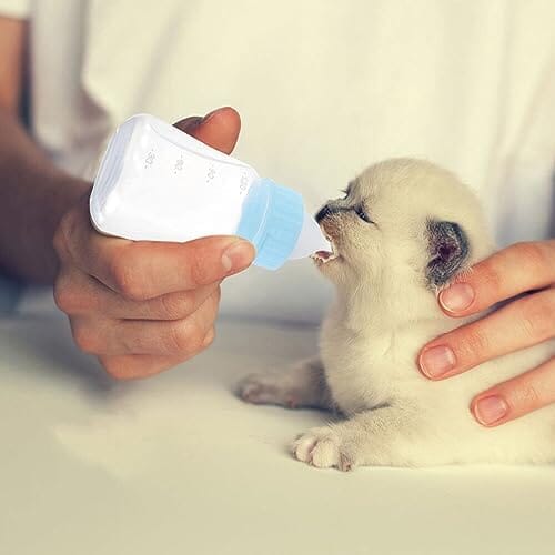 2pcs Kitten Milk Bottle Kit 120ml Puppy Feeding Bottle for Puppies Kitten Dog Bowls & Feeders Pet Clever