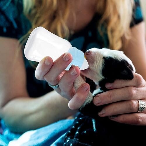 2pcs Kitten Milk Bottle Kit 120ml Puppy Feeding Bottle for Puppies Kitten Dog Bowls & Feeders Pet Clever