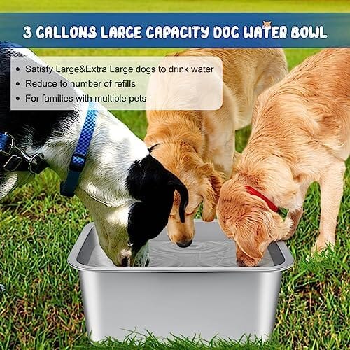 3 Gallons Extra Large Dog Water Bowl for Large Dogs Dog Bowls & Feeders Pet Clever