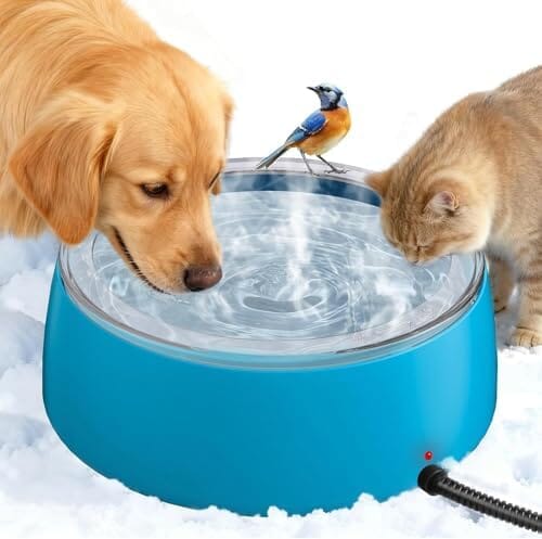 3L Heated Water Bowl, Outdoor Large Heated Dog Bowls Dog Bowls & Feeders Pet Clever Blue