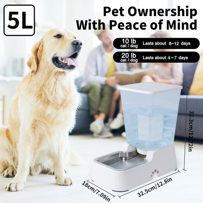 5L for Cats and Medium and Large-Sized Dogs with Stainless Steel Bow Dog Bowls & Feeders Pet Clever