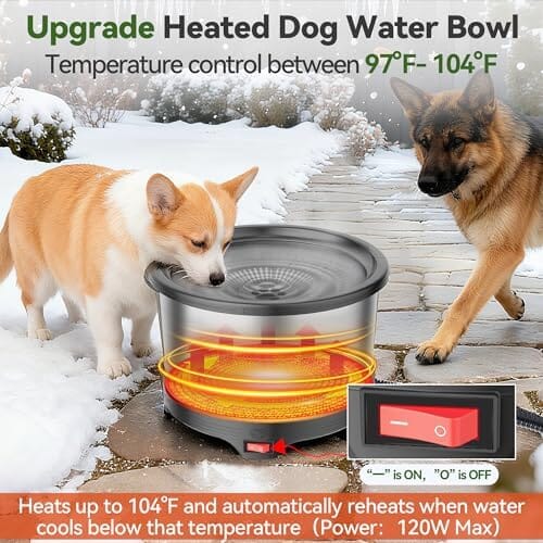 6.5L Heated Water Bowl Stainless Steel Outdoor Heated Dog Bowl with Anti-Chew Cord Dog Bowls & Feeders Pet Clever