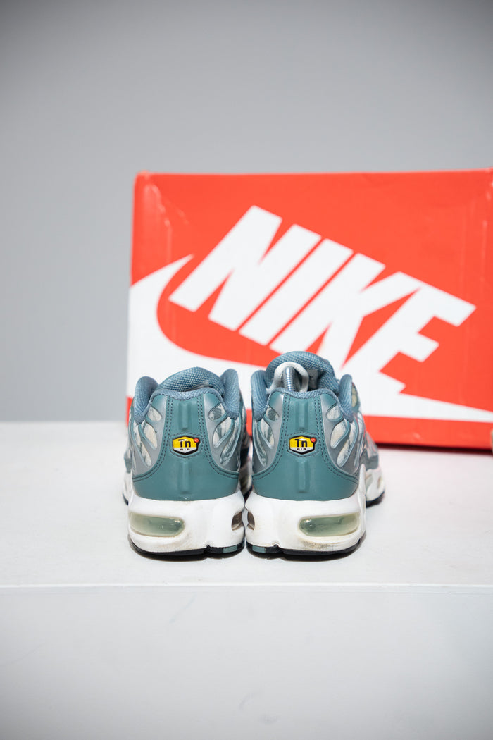 Air Max Plus (TN) Palm (Taille 38,5)