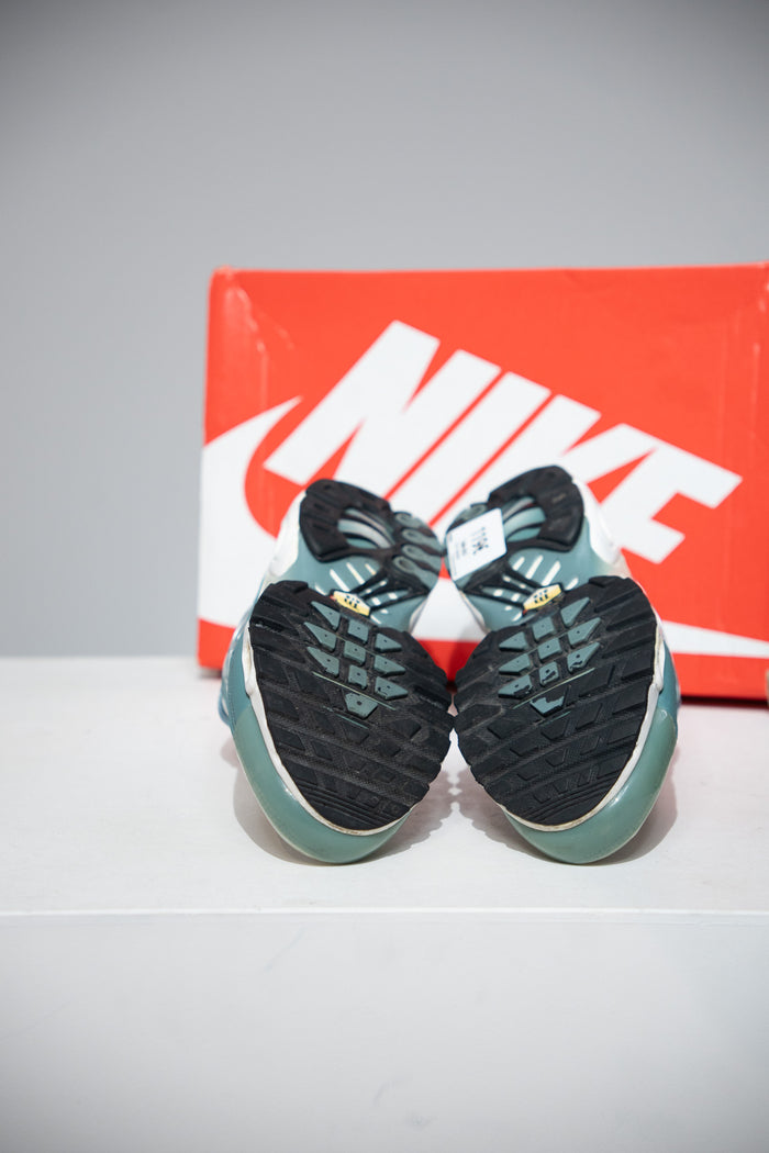 Air Max Plus (TN) Palm (Taille 38,5)