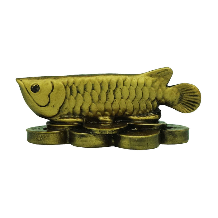Arowana for Abundance