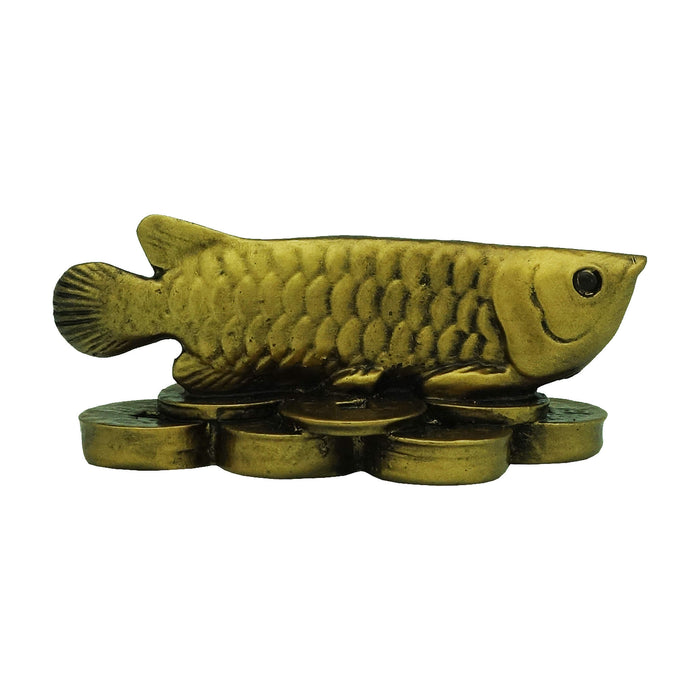 Arowana for Abundance