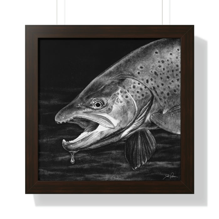 "Brown Trout" Framed Paper Print