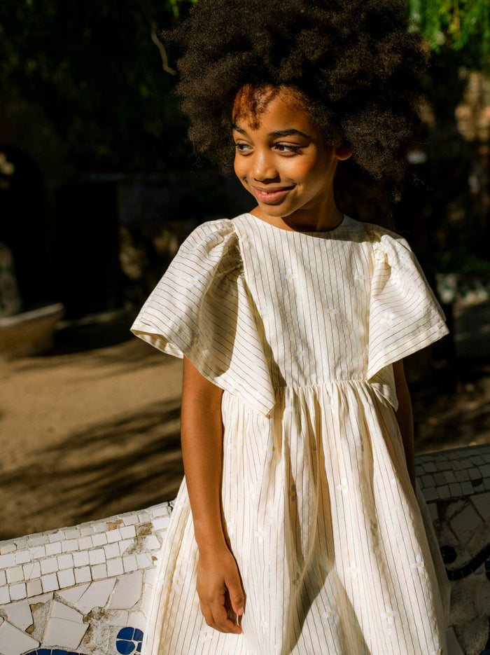 Butterfly Sleeve Twirl Dress