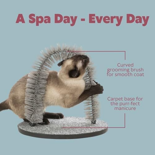 Cat Massager and Self Grooming Arch, Bristle Ring Brush Cat Care & Grooming Pet Clever