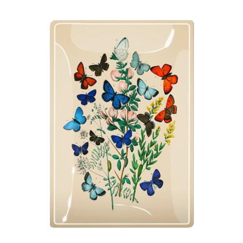 butterflies