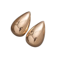 Drop Earrings - Large