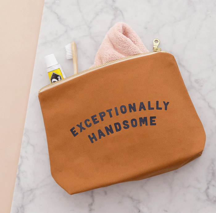 Exceptionally Handsome Wash Bag