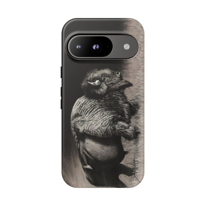 Google Pixel 9 / Matte