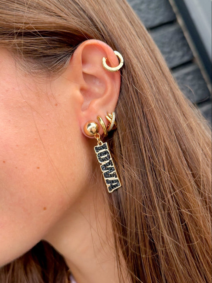Iowa Hawkeyes Pave Outline Earrings