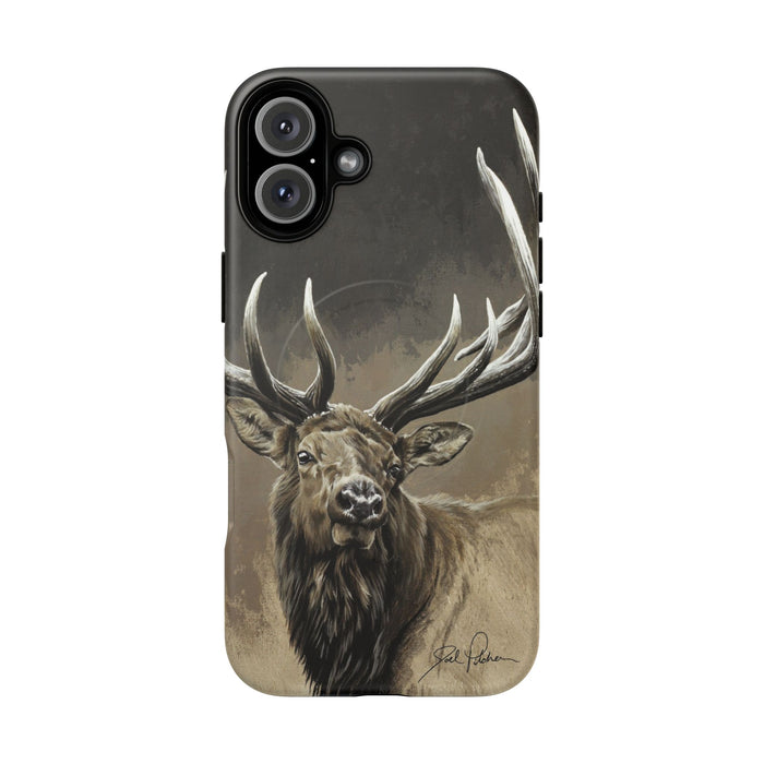 iPhone 16 Plus / Matte