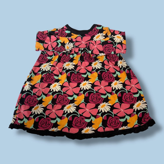 kickee pants flower dress 12-18m