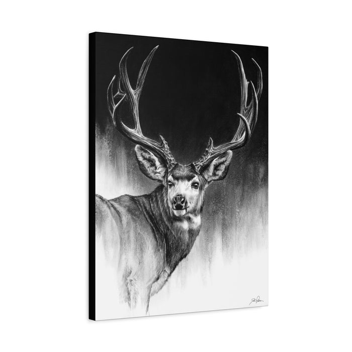 "Looking Back" Stretched Canvas