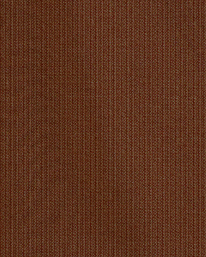 25731