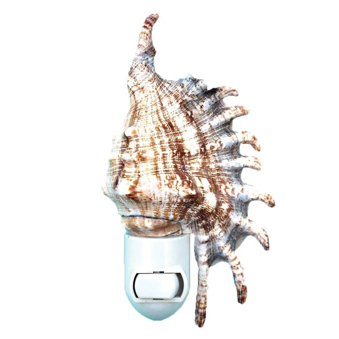 Millipede Seashell Night Light — a real millipede murex shell with dramatic brown-and-white spiny projections and a tall spiral spire, mounted on a white plastic plug-in switch base with a toggle switch, on a white background