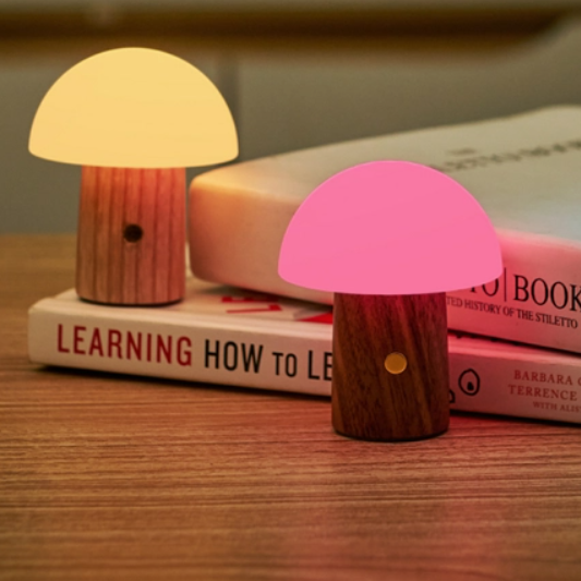 MIni Mushroom Lamp