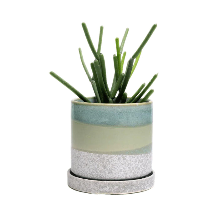 Minute Ceramic Pot & Saucer Set - Green Cement- in use
