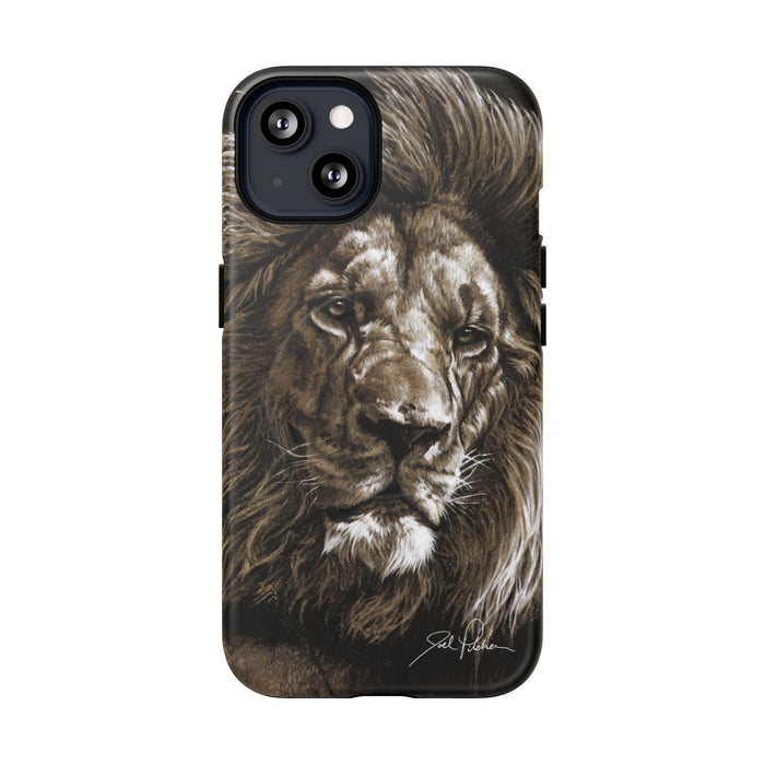 iPhone 13 / Matte