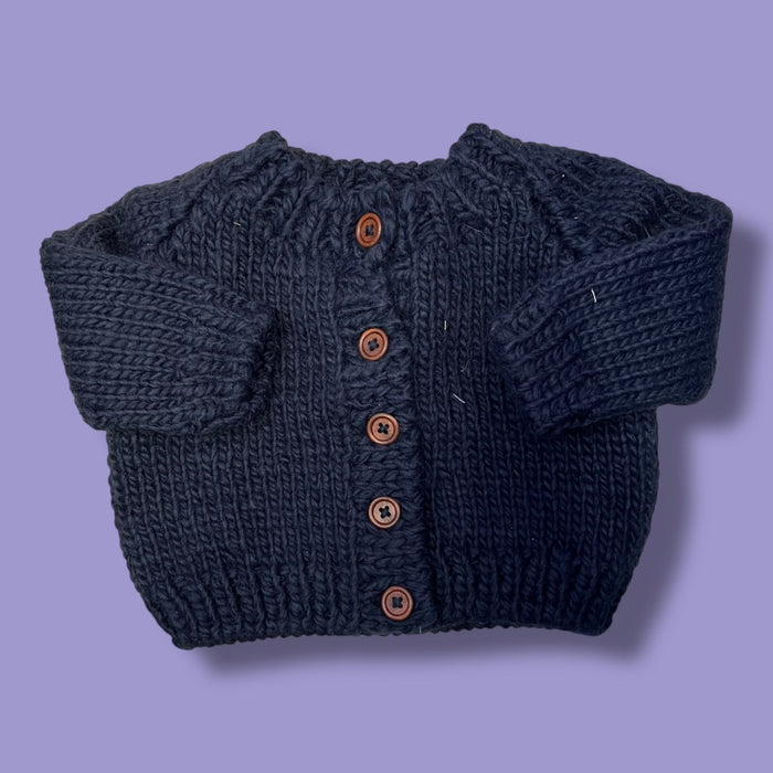 NWT The Blueberry Hill 6-12m