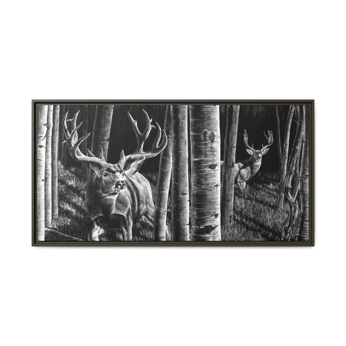 "Out of the Shadows" Framed Canvas