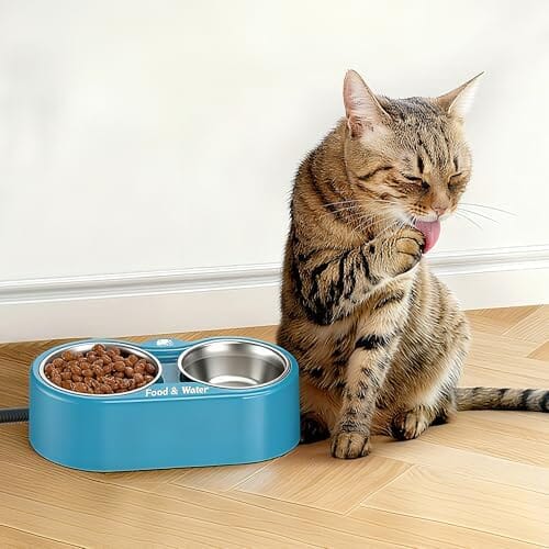 Outdoor Heated Dog Bowl Provides Drinkable Water & Food in Winter Dog Bowls & Feeders Pet Clever