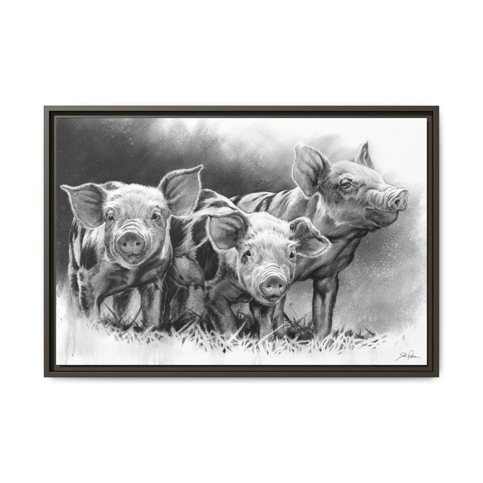 "Pig Tales" Framed Canvas