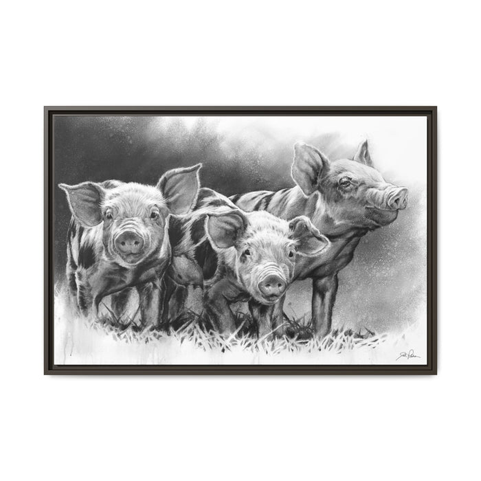 "Pig Tales" Framed Canvas