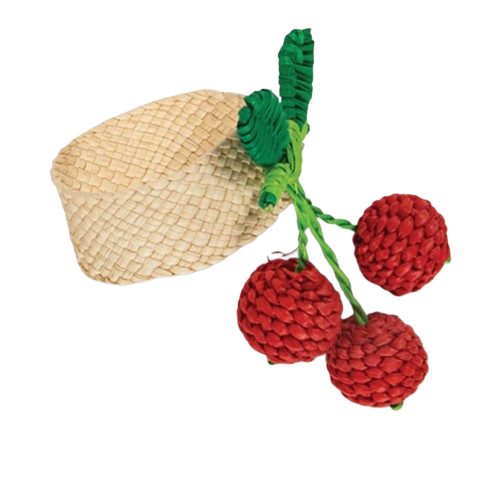Raffia Napkin Ring