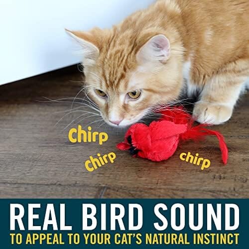Real Birds Interactive Cat Toys with Catnip Cat Toys Pet Clever
