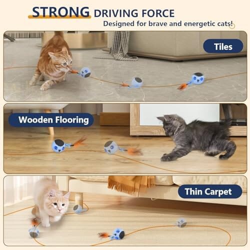 Real Birds Interactive Cat Toys with Catnip Cat Toys Pet Clever