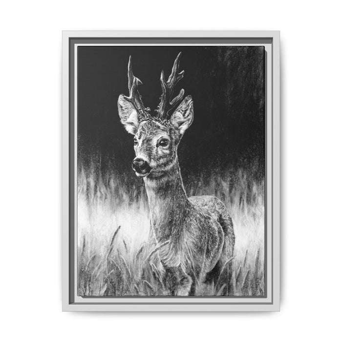 "Roe Deer" Framed Canvas