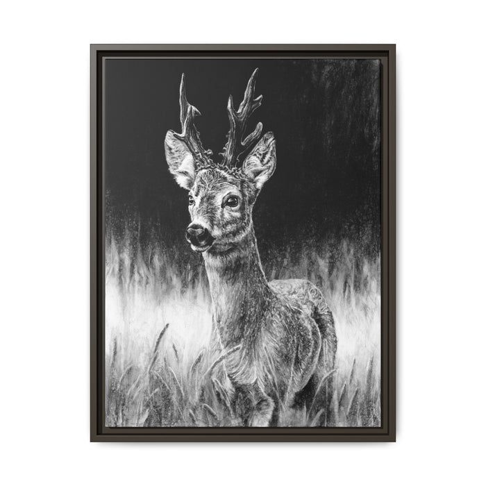 "Roe Deer" Framed Canvas