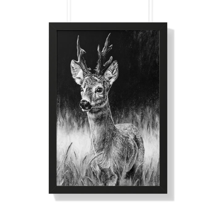 "Roe Deer" Framed Paper Print.